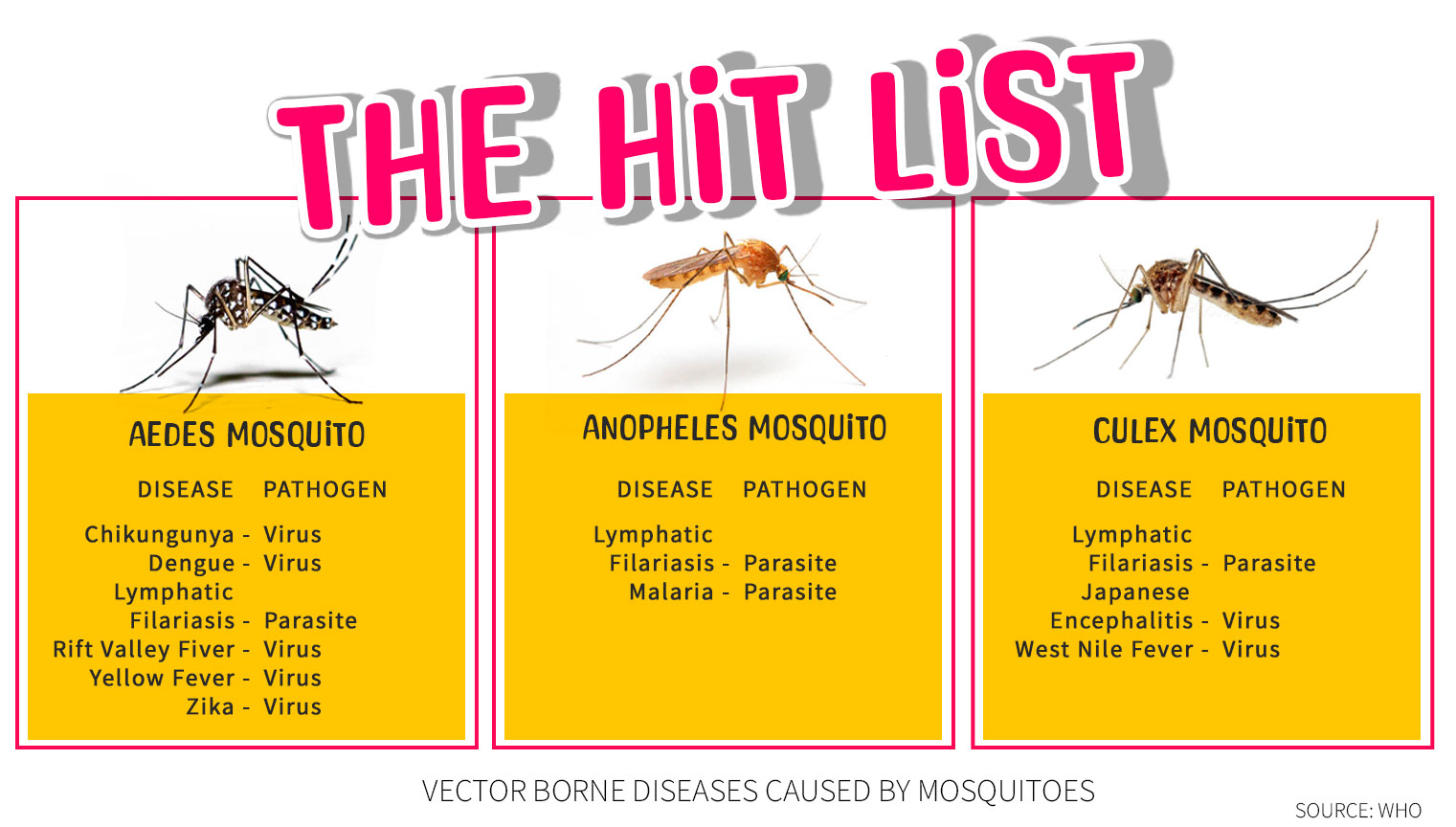 Exploring Vector-Borne Diseases Caused by Mosquitoes - North City ...