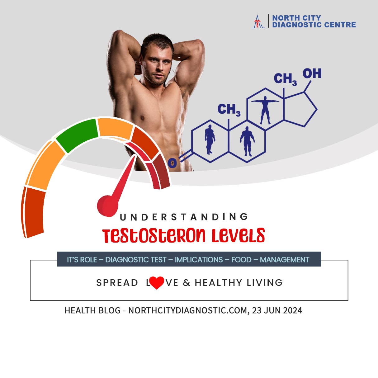 Understanding-testosterone-levels--health-blog---NDC---North-City-Diagnostic-Centre